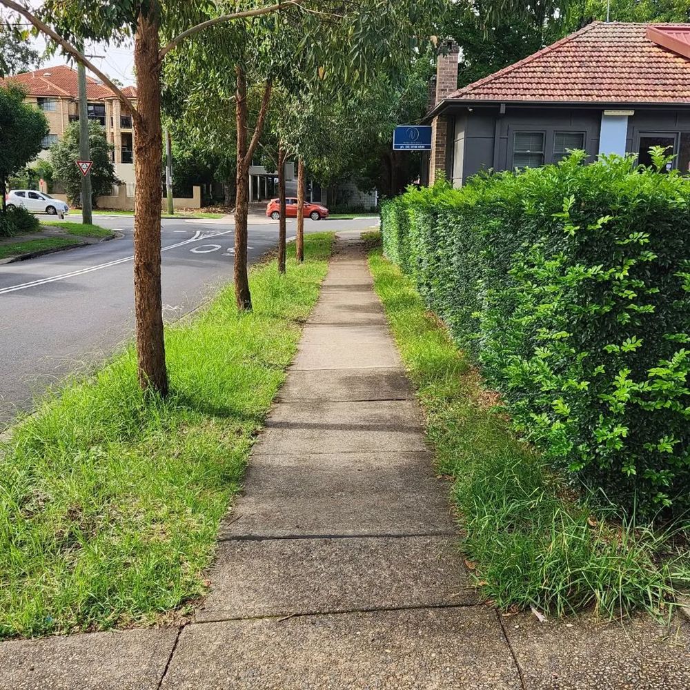 Before: overgrown nature strip with long grass and an untrimmed hedge along a Hills District footpath