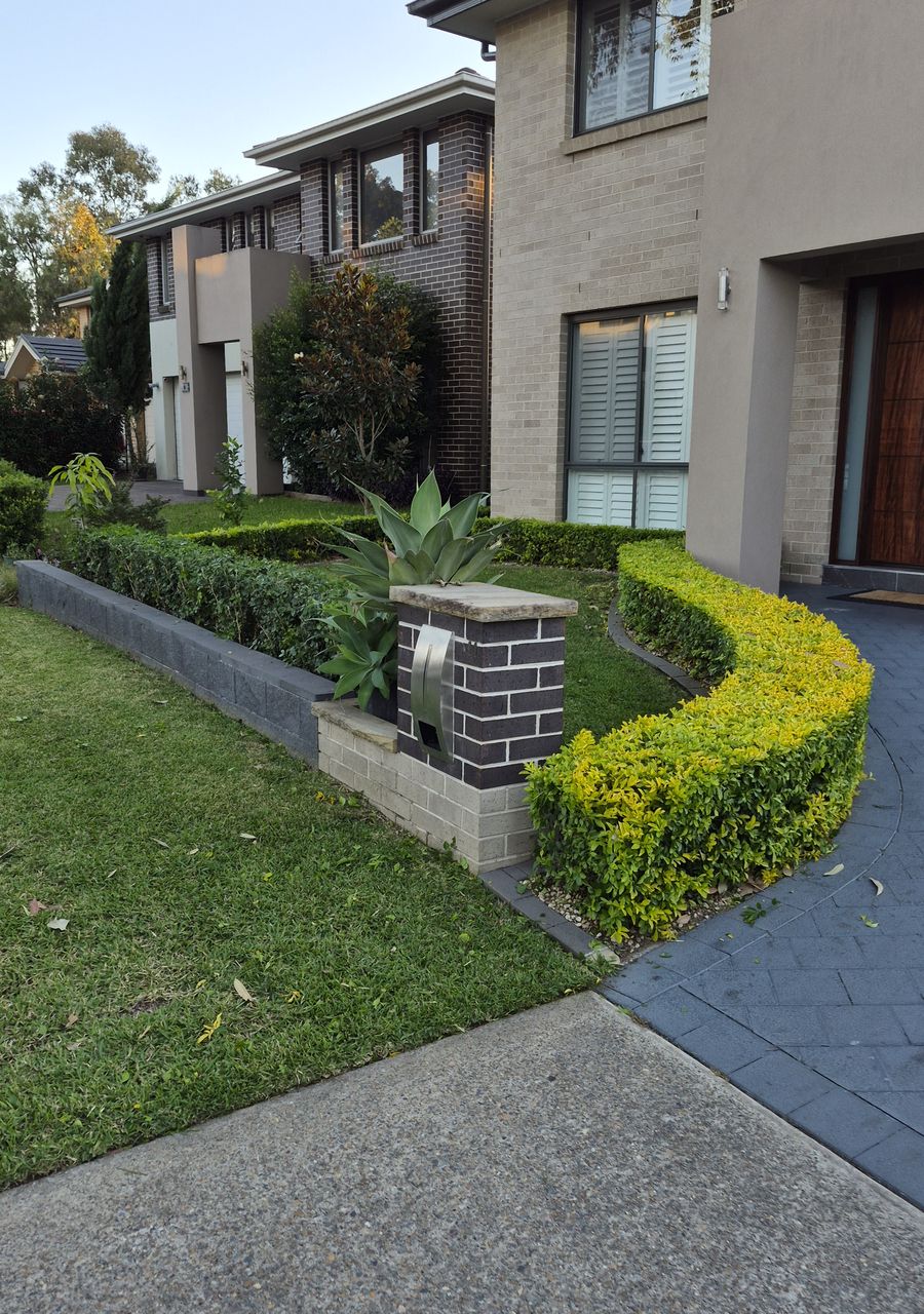 Freshly shaped box hedges and tidy garden beds in a Kellyville front garden after a Green With Envy visit