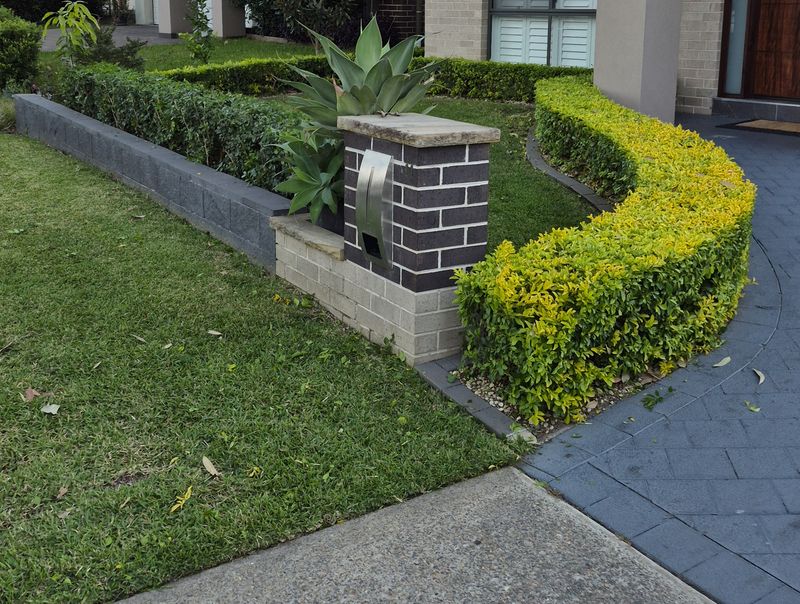 Shaped box hedges and tidy borders in a Hills District front garden