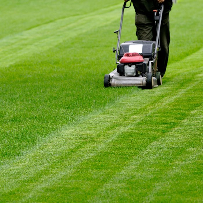 Mower cutting crisp stripes into a lush green lawn