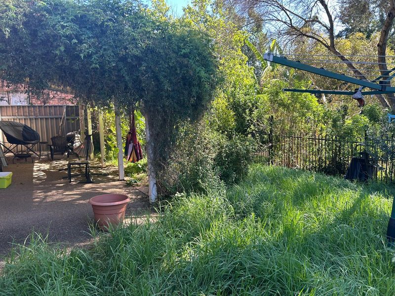 Heavily overgrown backyard with waist-high grass before a full yard cleanup